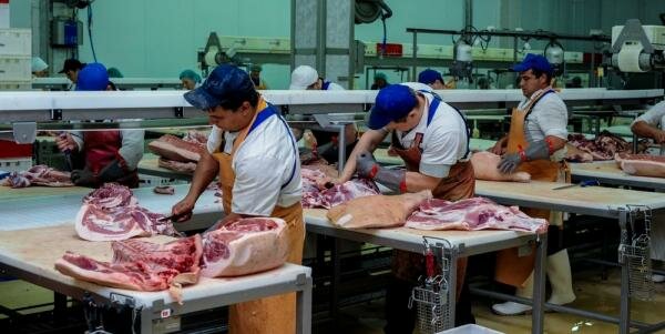 Переработчики сельхозпродукции получат дополнительные субсидии