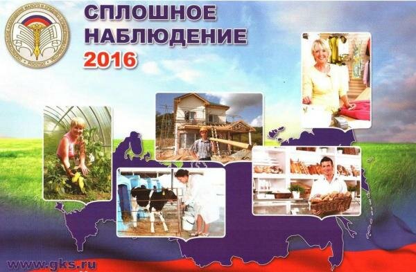Пермьстат завершает сплошное наблюдение за малым бизнесом