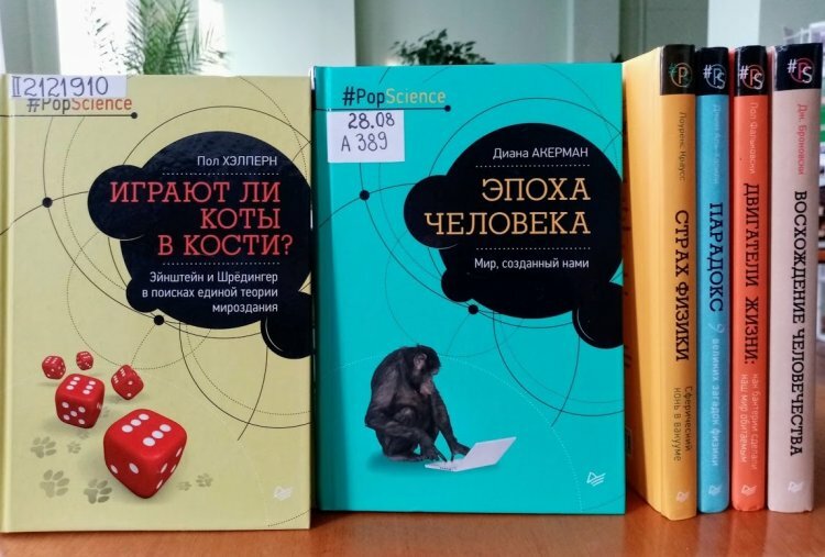 Книги и не только